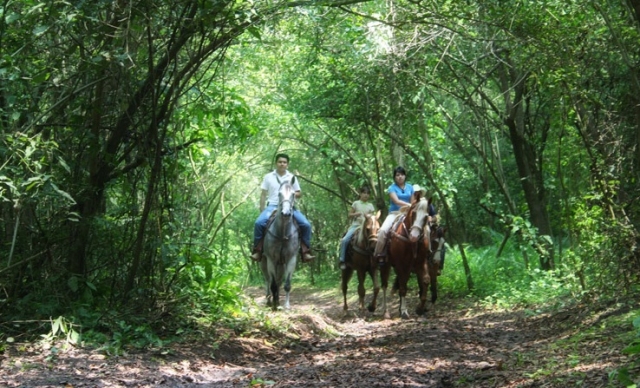 Cabalgatas de montaña